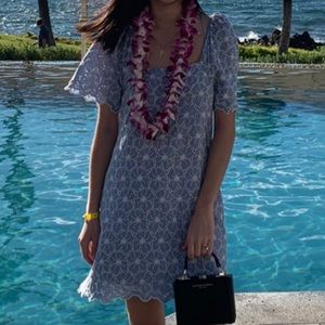 Zara Embroidery Dress